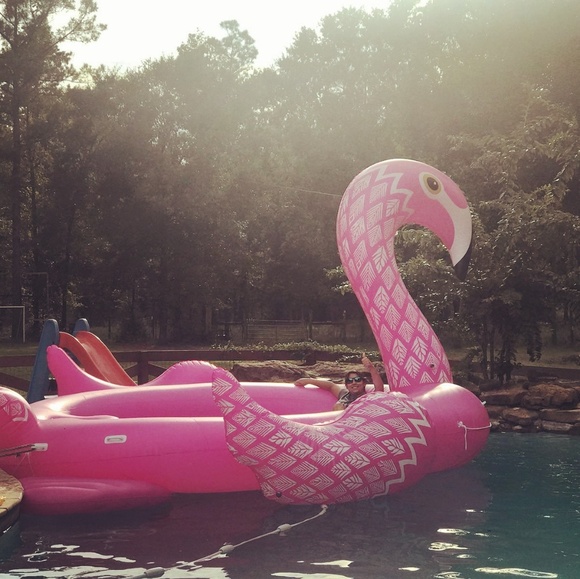 Meet your Posher, Natasha J - Picture 8 of 8